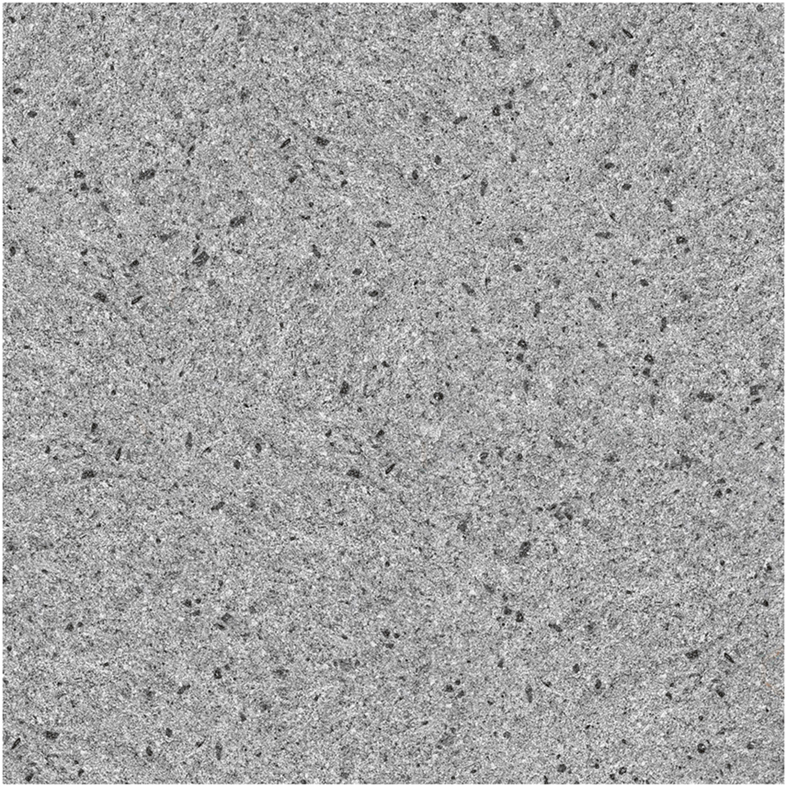 DIORITE GRISS RF Living Room - Day Ambience